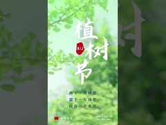 aluminium-oxide-transportrollers